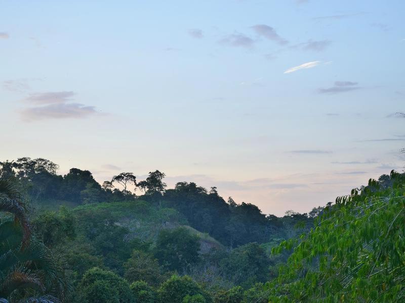 Hotel Tres Banderas Manuel Antonio Quarto foto