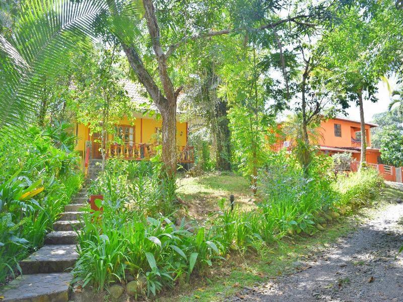 Hotel Tres Banderas Manuel Antonio Quarto foto